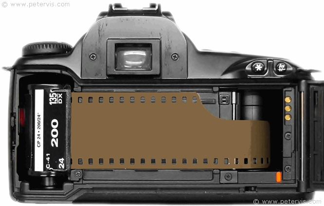 Viscous Treason Thigh Canon EOS 3000 Film Camera