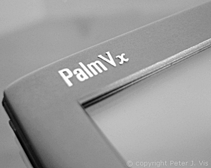 Palm Vx Logo