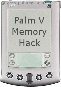 Palm V Review